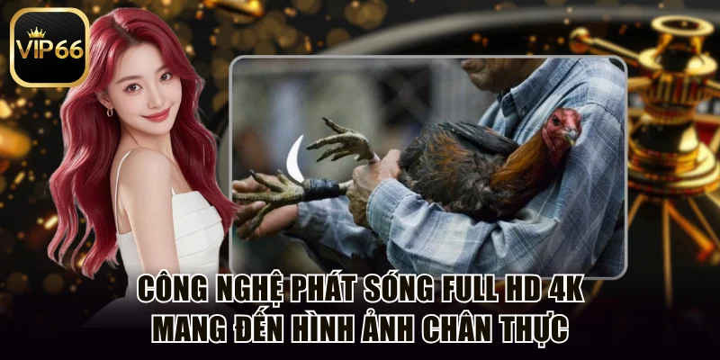 Công nghệ phát sóng Full HD 4K mang đến hình ảnh chân thực