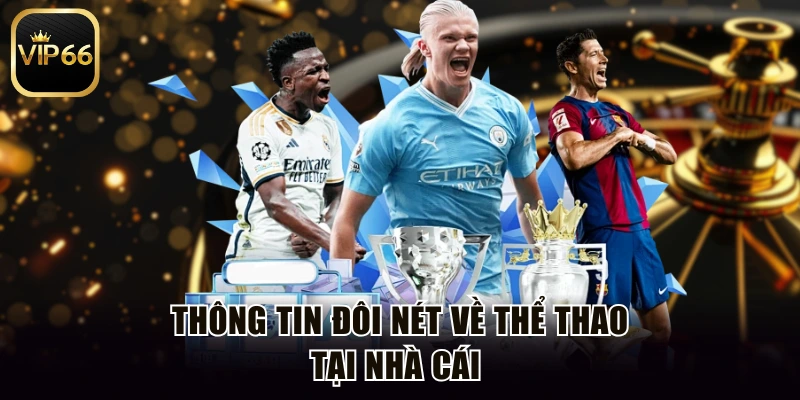 Thông tin đôi nét về thể thao tại nhà cái 